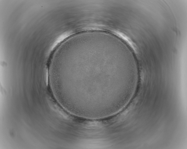 X0000091231219200708091412