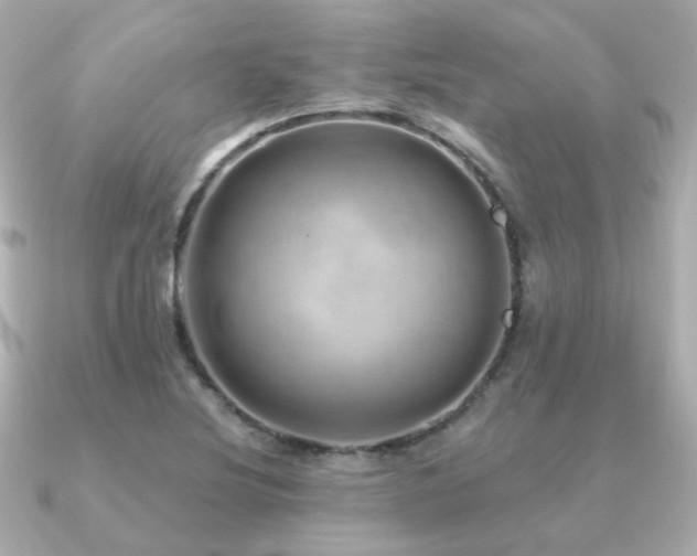 X0000091231220200708091412
