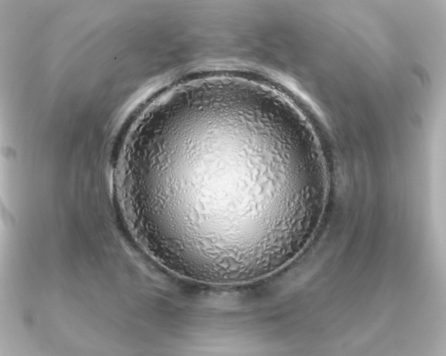 X0000091231221200708091412
