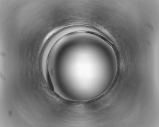 X0000091231222200708091412