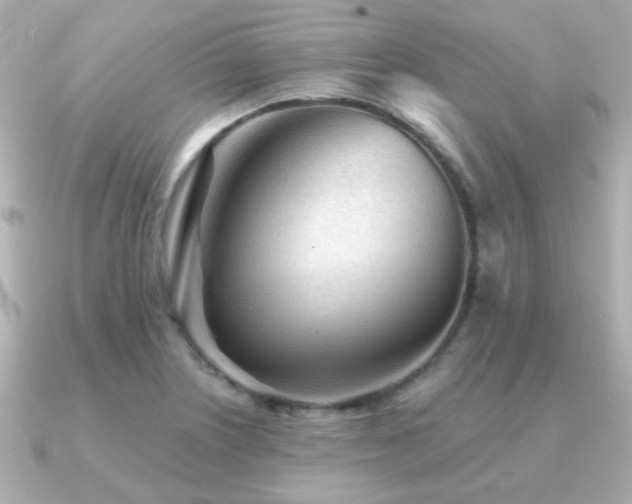 X0000091231226200708091412