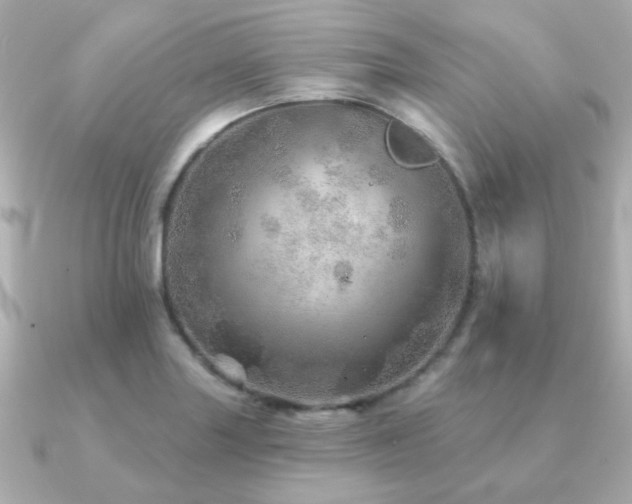 X0000091231227200708091412