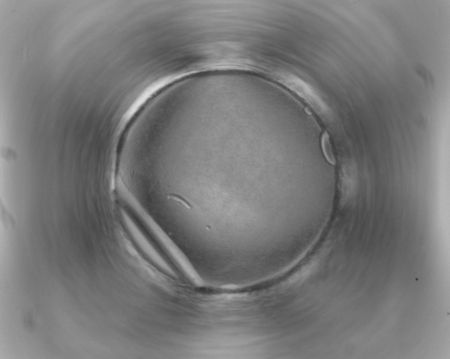 X0000091231228200708091412