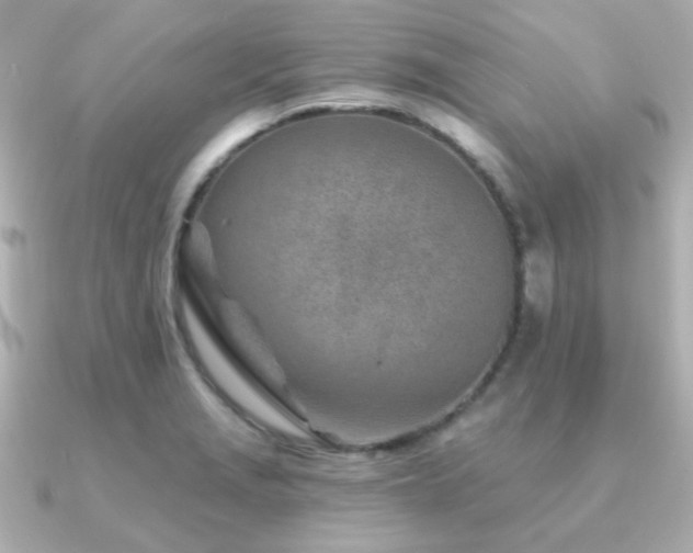 X0000091231229200708091412