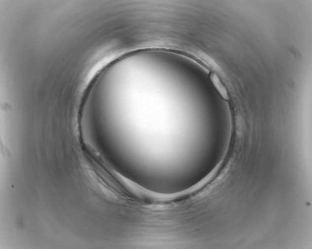 X0000091231230200708091412