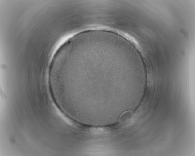 X0000091231231200708091412
