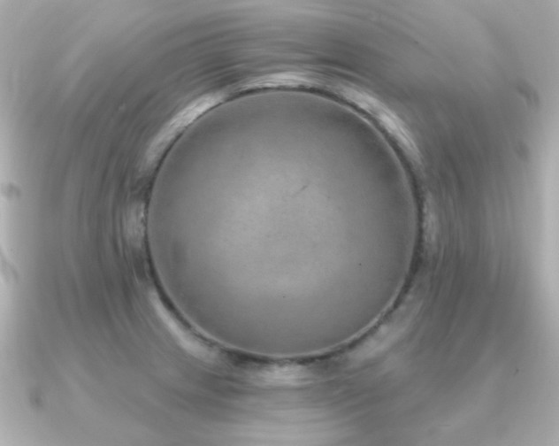 X0000091231233200708091412