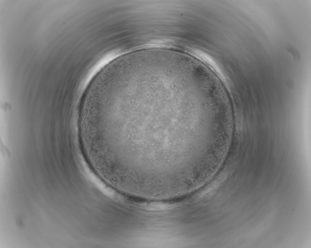 X0000091231235200708091412