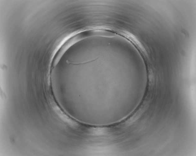 X0000091231236200708091412