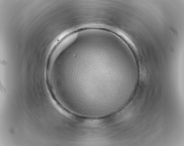 X0000091231237200708091412