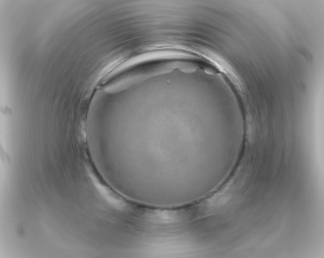 X0000091231241200708091412