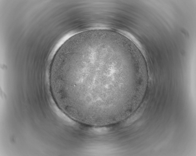 X0000091231243200708091412