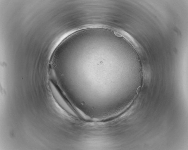 X0000091231244200708091412