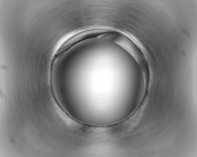 X0000091231246200708091412