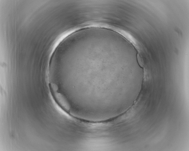 X0000091231247200708091412