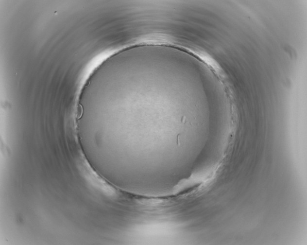 X0000091231248200708091412