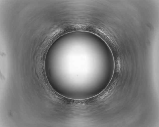 X0000091231249200708091411