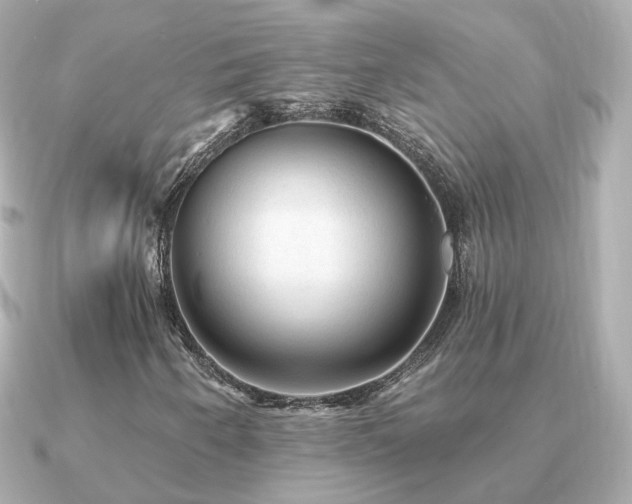 X0000091231250200708091411