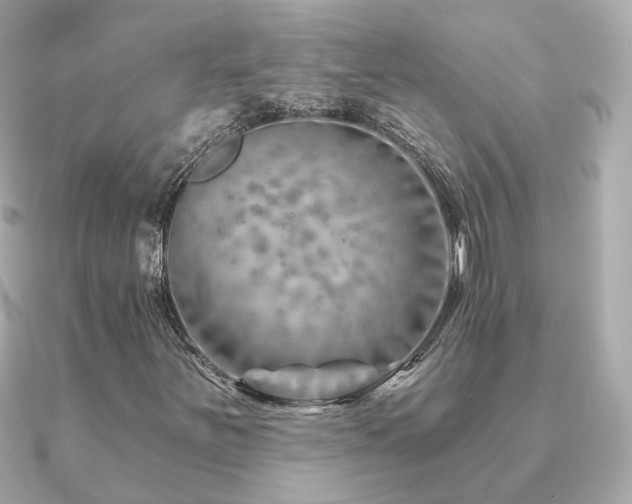 X0000091231251200708091411