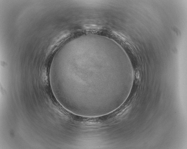 X0000091231252200708091411