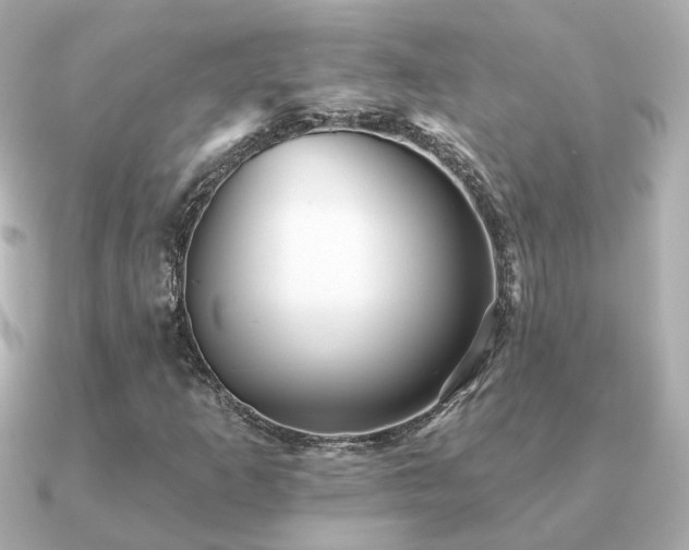 X0000091231253200708091411