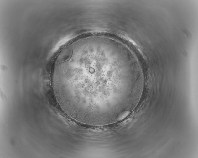 X0000091231255200708091411