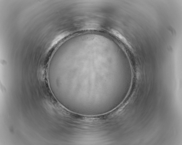 X0000091231258200708091411