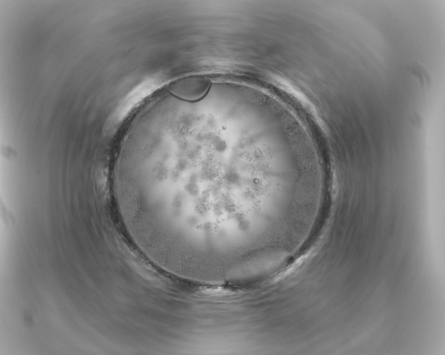 X0000091231259200708091411