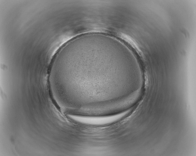 X0000091231260200708091411