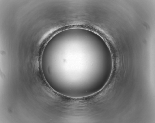 X0000091231262200708091411