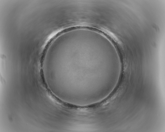 X0000091231264200708091411