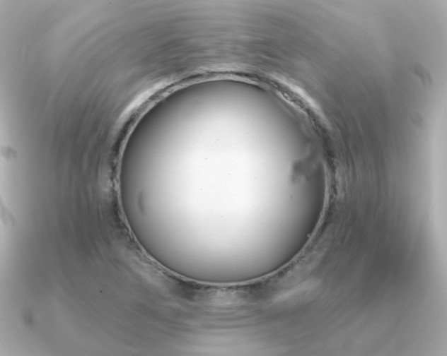 X0000091231266200708091411