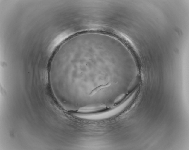 X0000091231267200708091411