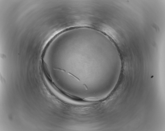X0000091231268200708091411