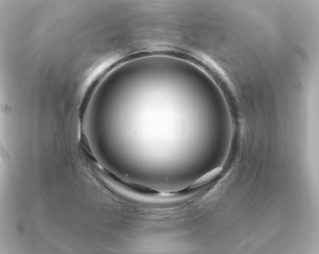 X0000091231269200708091411