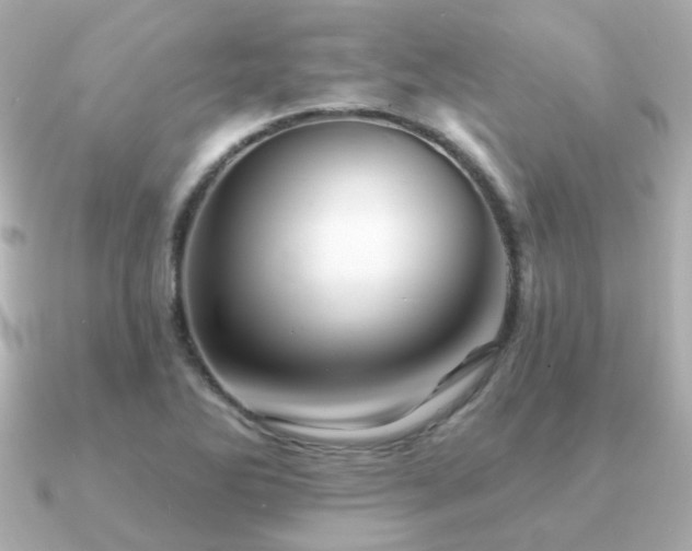 X0000091231270200708091411