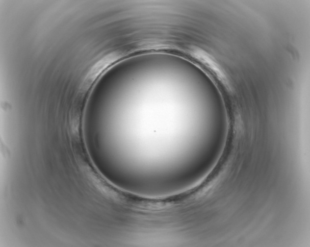 X0000091231273200708091411