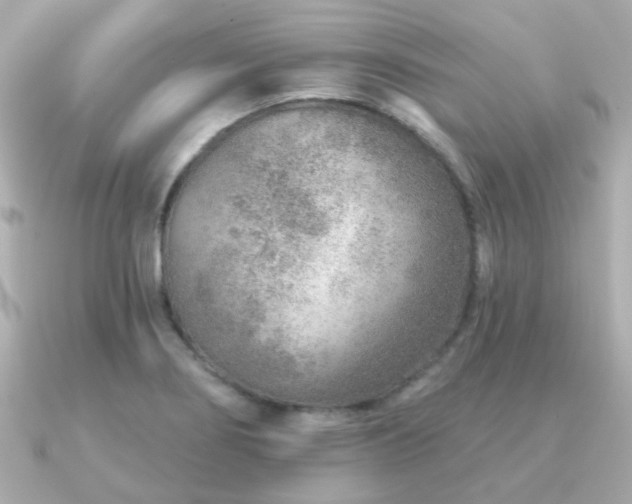 X0000091231274200708091411