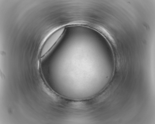 X0000091231276200708091411
