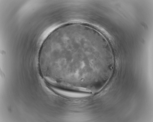 X0000091231279200708091411