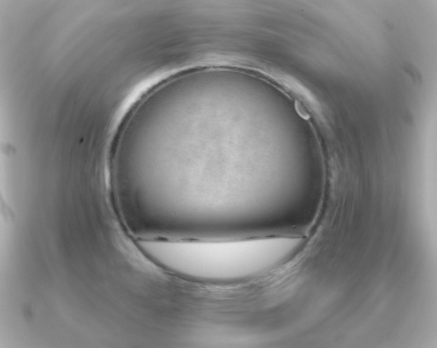 X0000091231280200708091411