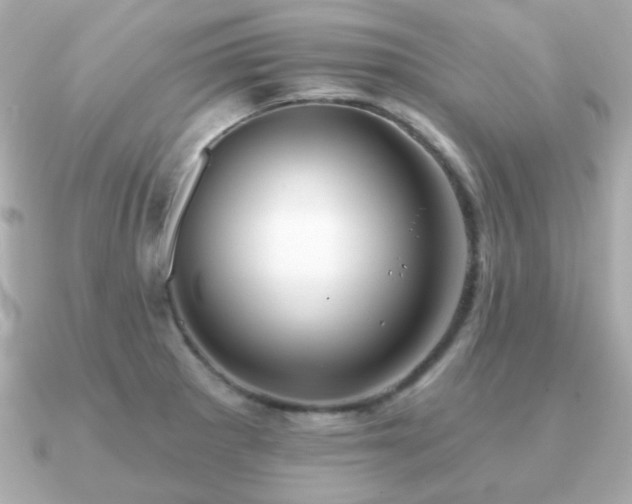 X0000091231281200708091411