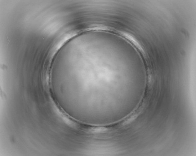 X0000091231282200708091411