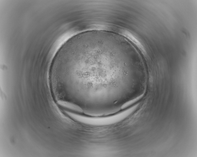 X0000091231283200708091411