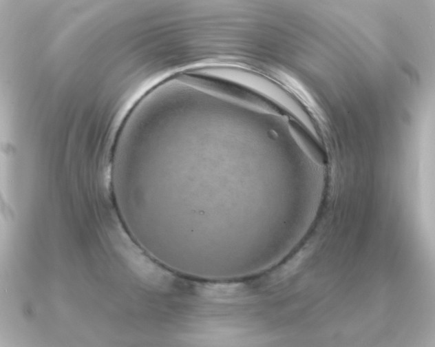 X0000091231284200708091411