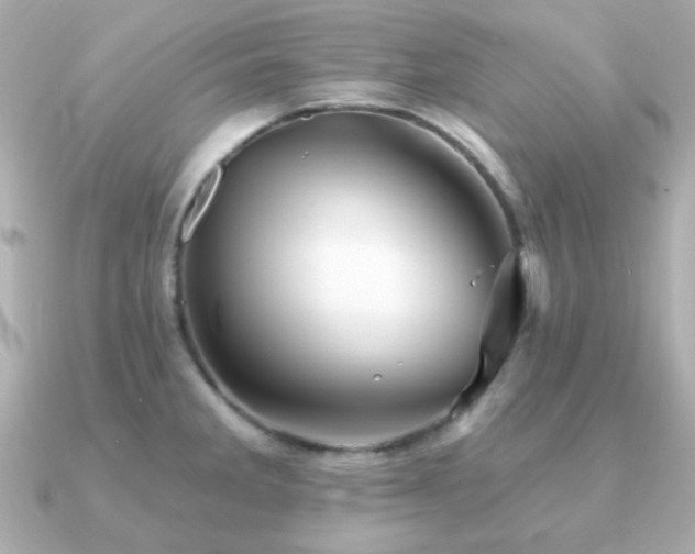 X0000091231285200708091411