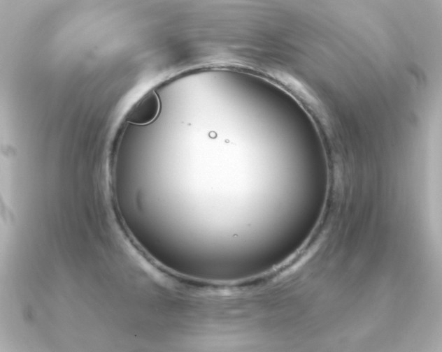 X0000091231286200708091411