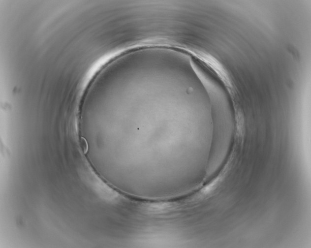 X0000091231288200708091411