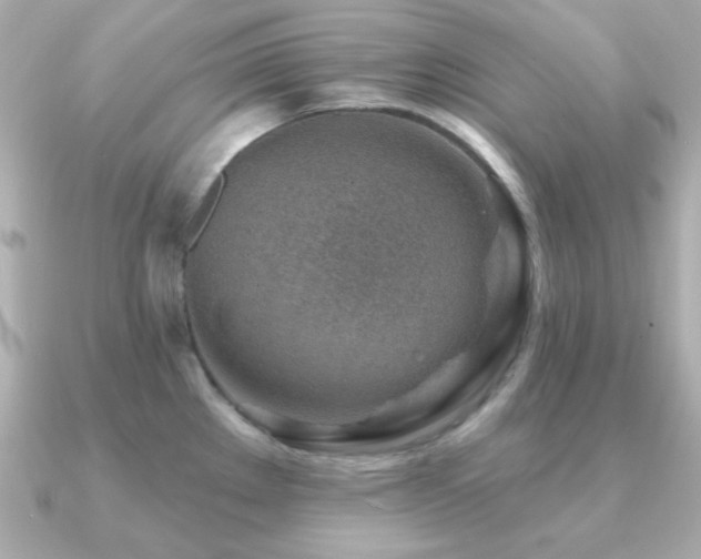X0000091231289200708091411