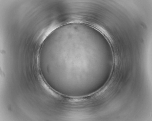 X0000091231290200708091411